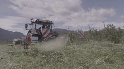 Filtro de feno trabalhando de perto, trator girando grama cortada, vista traseira