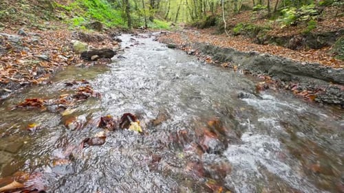 Rio pequeno