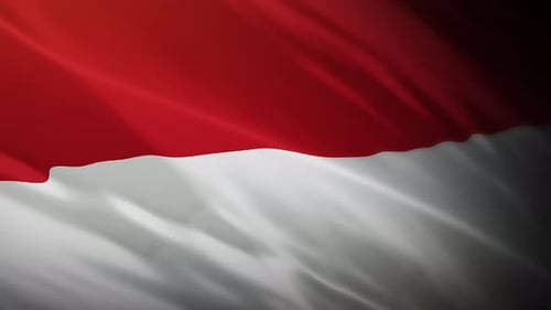 Realistic Waving Red and White Flag Background Animation
