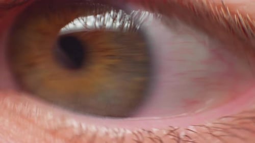 Extreme Close Up of Human Eye Opening