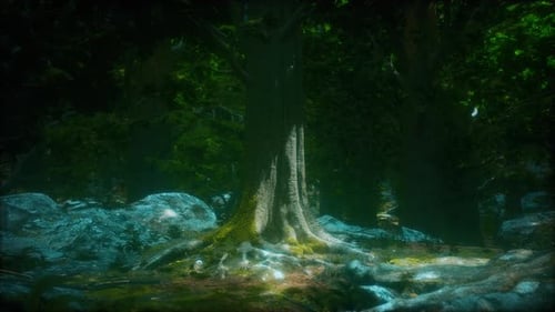 Tree Roots and Sunshine in a Green Forest