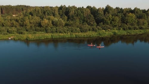 Group of People Paddleboards Along River with Picturesque Nature on Banks and Pine Forest Reflected