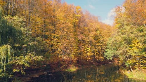 Lake in Autumn Forest