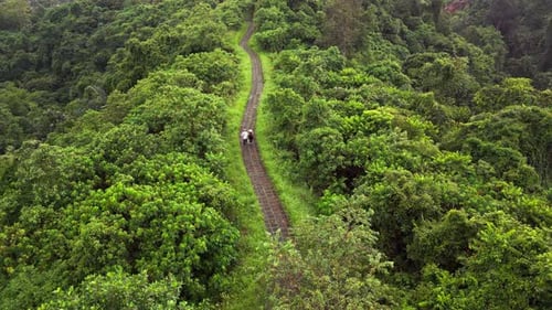 Scenic ridge walking trail with morning exercise views over rolling hills and peaceful landscape