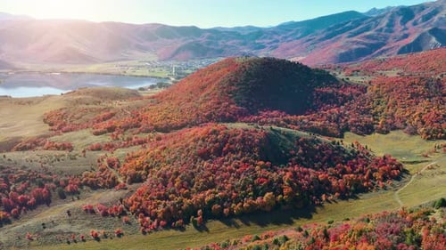 Scenic Aerial View of Autumn Landscape with Lake
