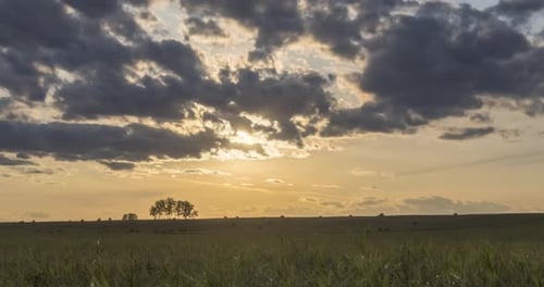 Flat Hill Meadow Timelapse at the Summer Sunset Time Wild Nature and Rural Field Sun Rays Trees