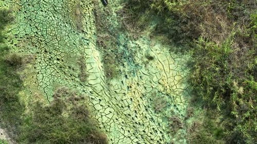 Aerial View of Cracked Mud and Green Vegetation