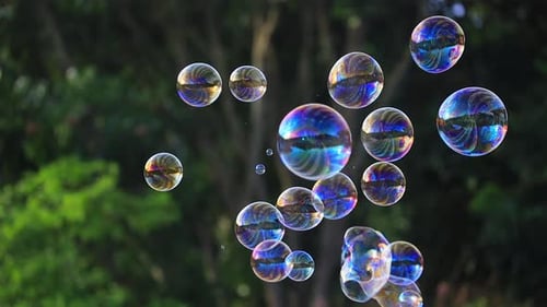 Soap Bubbles Floating In The Air With Natural Green Blurred Bokeh Background
