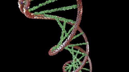Looping Geometric DNA Helix Rotation on Black Background