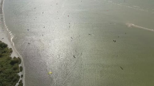 Aerial view of people doing kite surfing along the beach sunny day, Netherlands