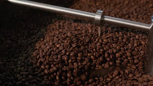 Close-up Shot of Metal Arm Stirring Dark Brown Coffee Beans in Roaster Machine