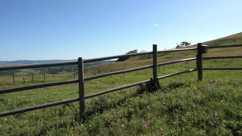 Point of View Moving Through Field with Wooden Fence Canada