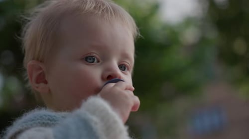 Baby Gently Sucking On A Pacifier