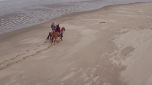 Aerial View of Women Riding Horses at Beach Active