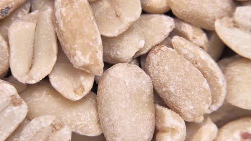 Hot Roasted Peanuts Spins Shelled Peanuts Ground Nuts