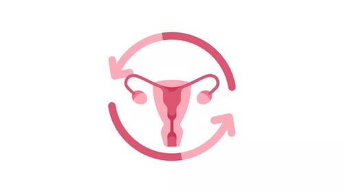 Animated Female Reproductive Cycle Icon in Flat Design