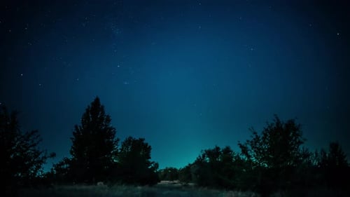 Zeitraffer mit Startrails Above Forest