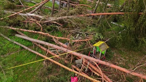 Fallen massive trees on kids playground after powerful storm, aerial view