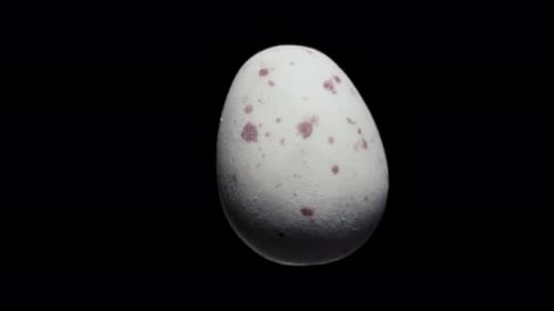 Chocolate white mini egg rotate, on a black background close-up. In move
