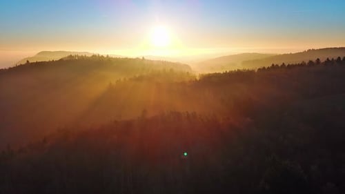 Silhouettes de conifères dans une forêt de la vallée vallonnée sur fond de soleil éclatant
