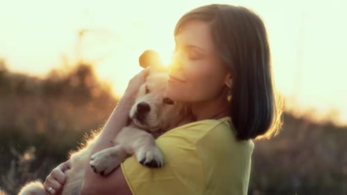 Baby Golden Retriever Puppy With Its Owner Love Happy Dog Spending Good Time