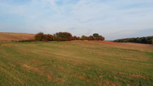 Drone Shot of Green Field in Countryside