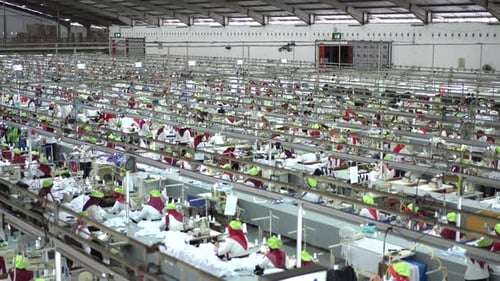 Sewing Factory