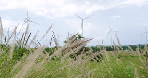Zeitlupenaufnahmen zeigen, wie sich Windturbinen über eine grüne Wiese drehen, unter der hohes Gras weht