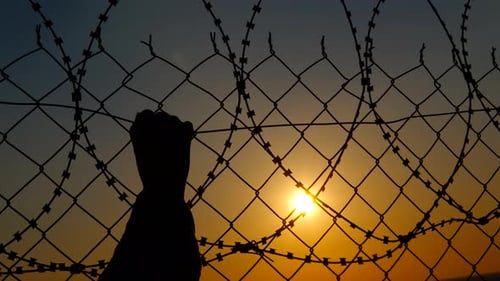 Hand Grips Barbed Wire Fence During Golden Hour