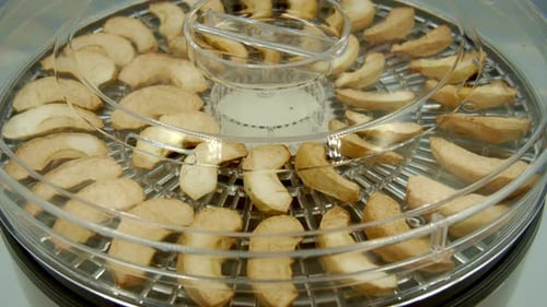 Apple Slices Dehydrating in Food Dehydrator Close Up