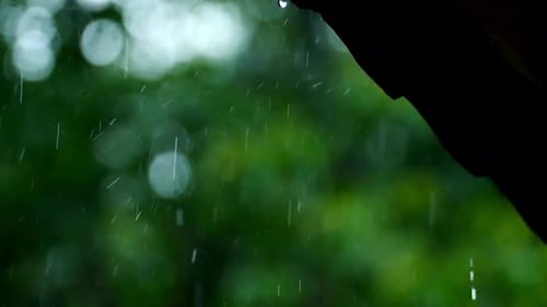 Water Drop Falling