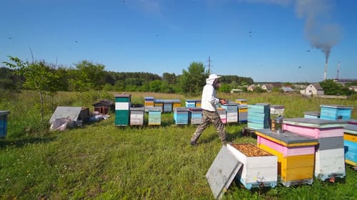 Apiarist near wooden beehives. Beekeeper works on apiary on the background of industrial pipes