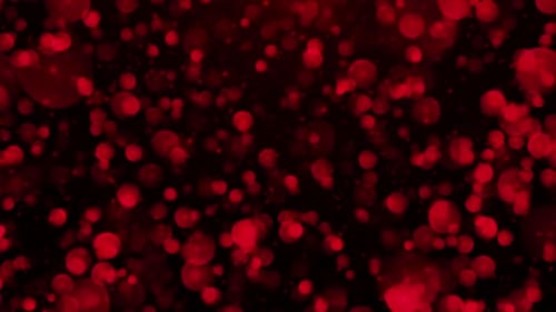 Red Floating Bokeh Particles Abstract Background Loop