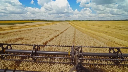 Details of a modern combine harvester. Close-up. Agricultural machine works in the wheat field.
