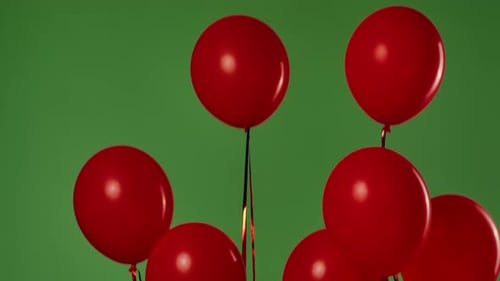 Many Red Helium Balloons with Shiny Ribbons Float Upward Against a Green Background with a Chroma