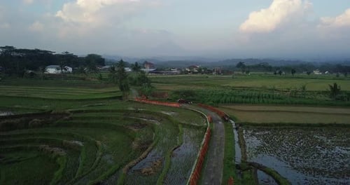 drone footage flying over an urban road winding through the rice fields and where a motorcyclist pas