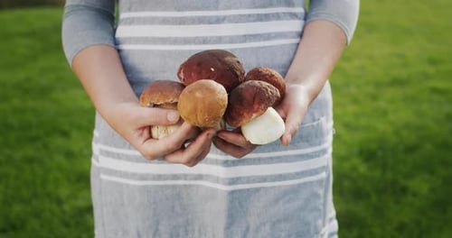 Forager Holding Freshly Picked Wild Mushrooms