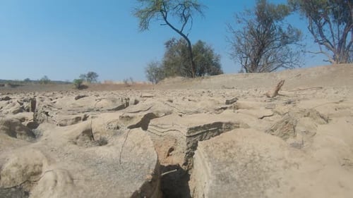 Un gros plan de la surface d'un point d'eau asséché, de températures extrêmes et d'une sécheresse persistante montre
