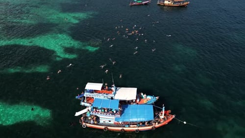 Aerial view of people snorkelling in shark bay on Ko Tao island, Thailand.