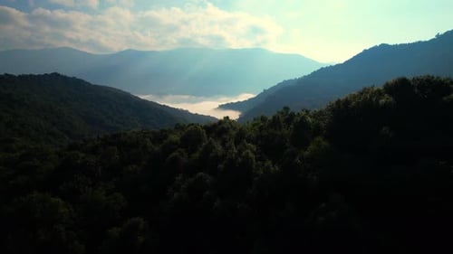 Drone is flying over a tropical forest in the morning