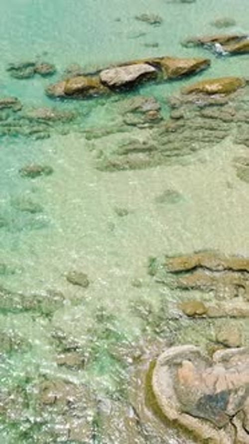 Aerial View of Tropical Beach