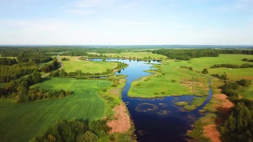 Nature Of Lake Misnitsko 07