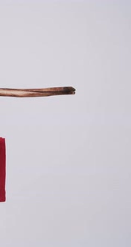 Vídeo vertical de una bolsa de lona roja que cuelga de una rama con espacio para copiar sobre fondo blanco