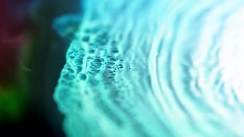 Abstract Cellular Texture in Teal and White