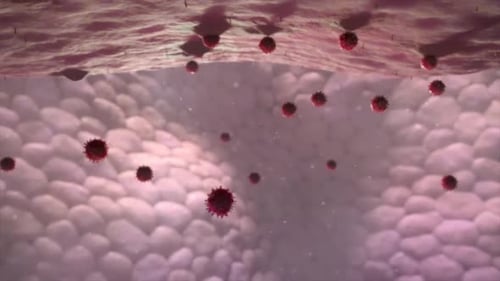 Microscopic Virus Cells Spreading Medical Animation