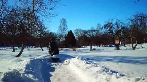 Winter, Natur, Februar 2022 36