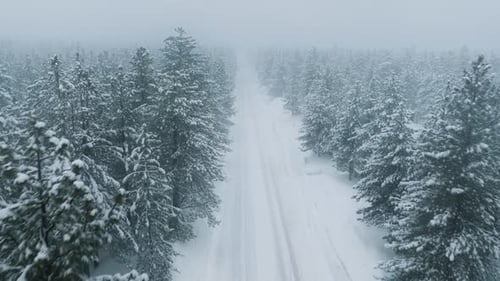 Aerial View of Icy Frozen Road in Middle of Snow Covered Trees and Snowy Forest