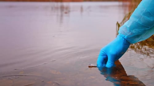 Scientist Biologist And Researcher Takes Water Samples From Pond Into Test Tube Unrecognizable