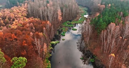 Colorful forest and river in late autumn in Poland, Europe.