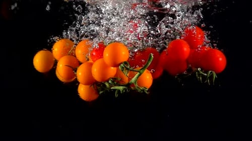 Superlangsame Zeitlupe fallender frischer Kirschtomaten im Wasser